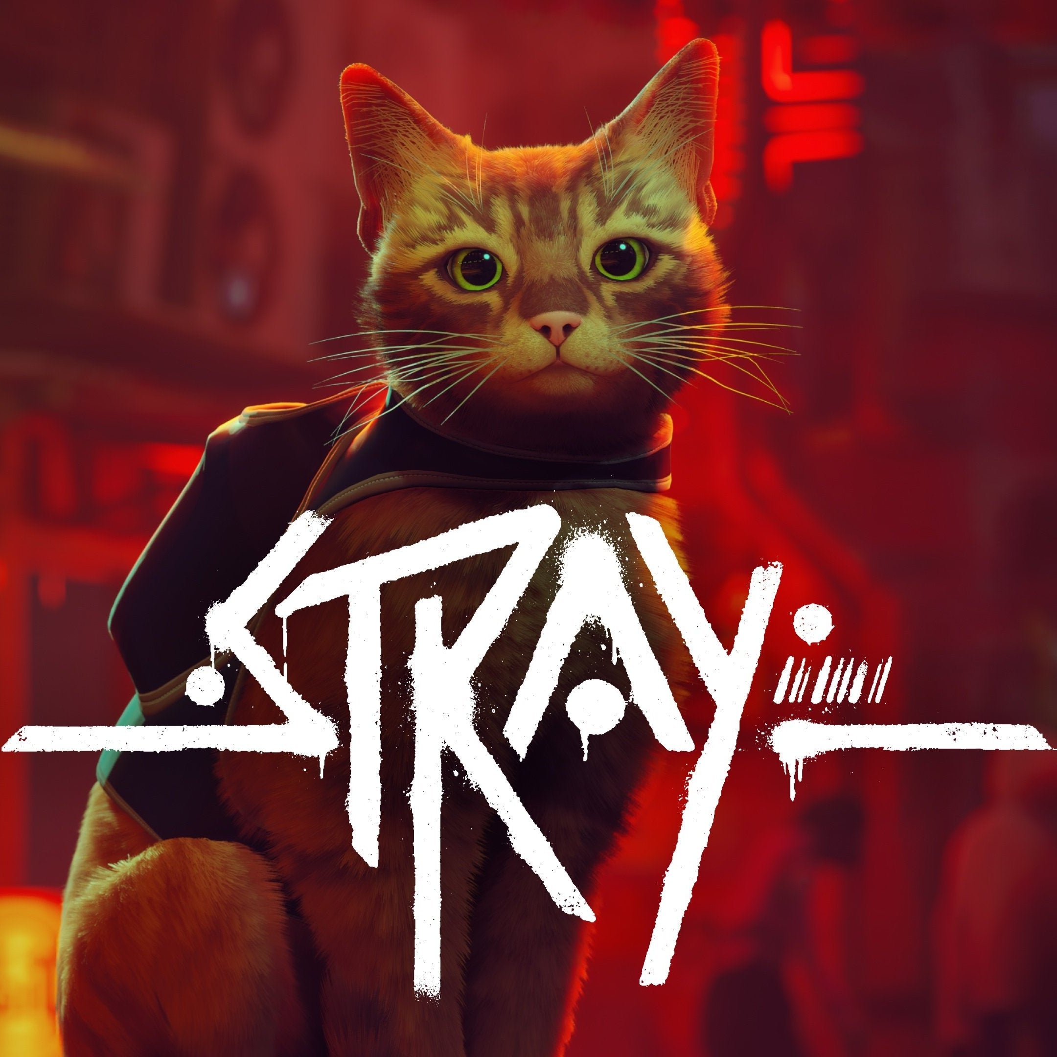 STRAY